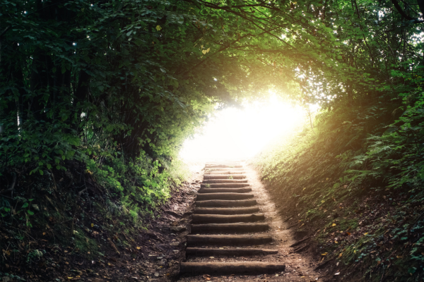 steps
